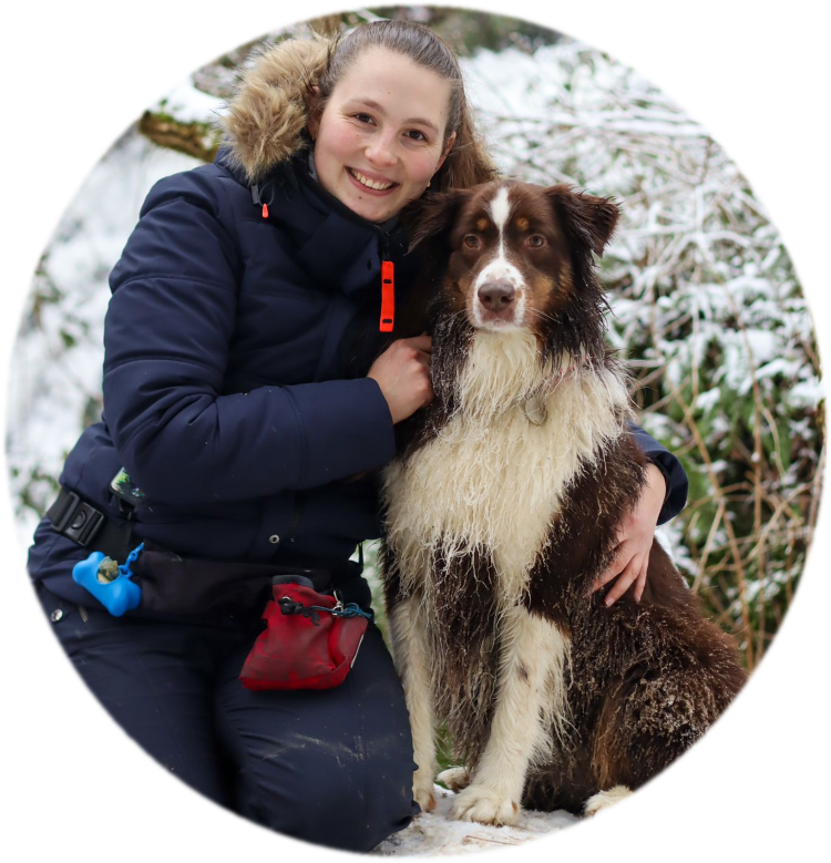 Équipe de l'Académie Canine des Volcans