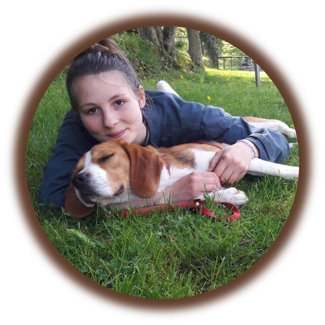L'équipe de l'Académie Canine des Volcans
