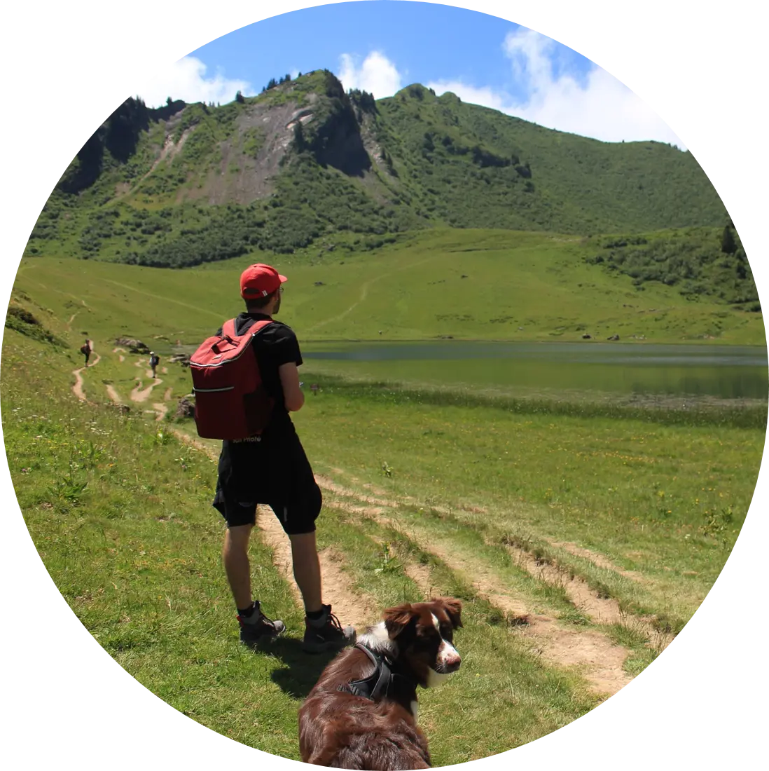 Sortie canine | Académie Canine des Volcans
