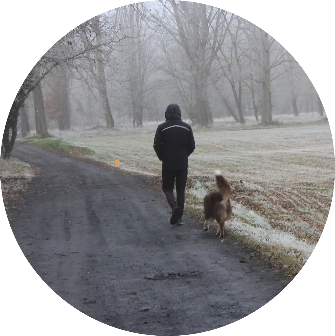 Conseils avant d'adopter un chien | Académie Canine des Volcans