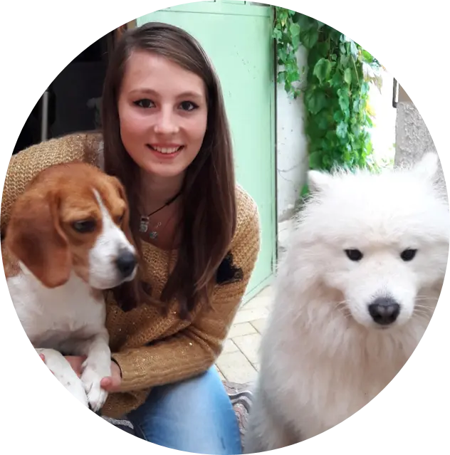 Avoir 2 chiens | Académie Canine des Volcans