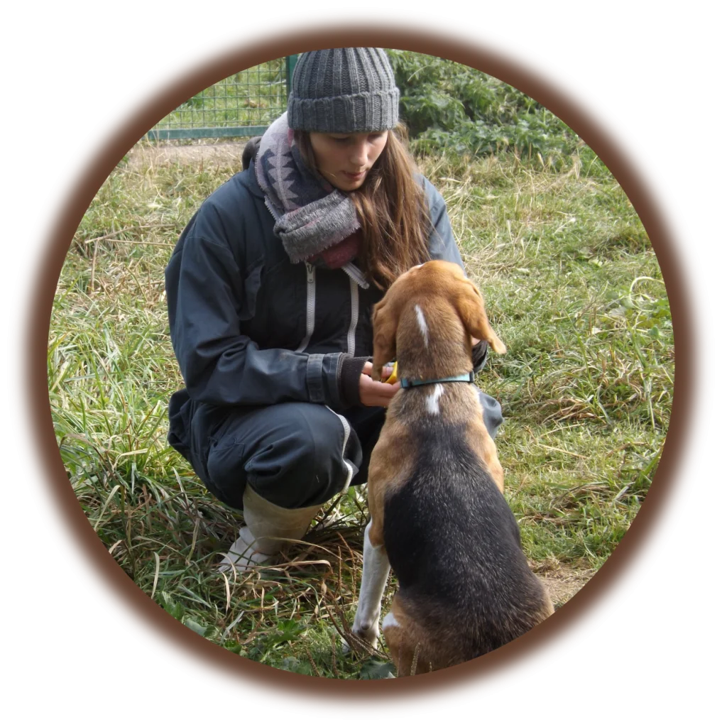 Contacter l'Académie Canine des Volcans