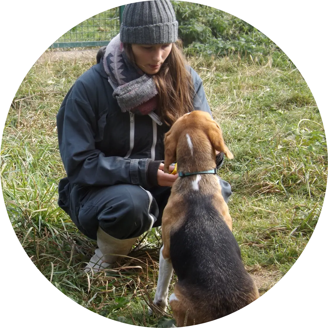 Éducation et rééducation canine | Académie Canine des Volcans
