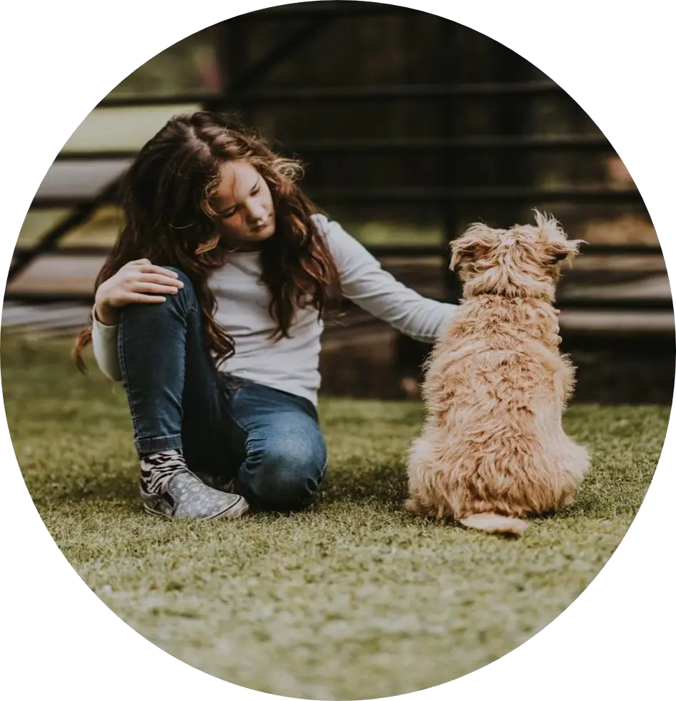 Prévention morsure avec les enfants | Académie Canine des Volcans