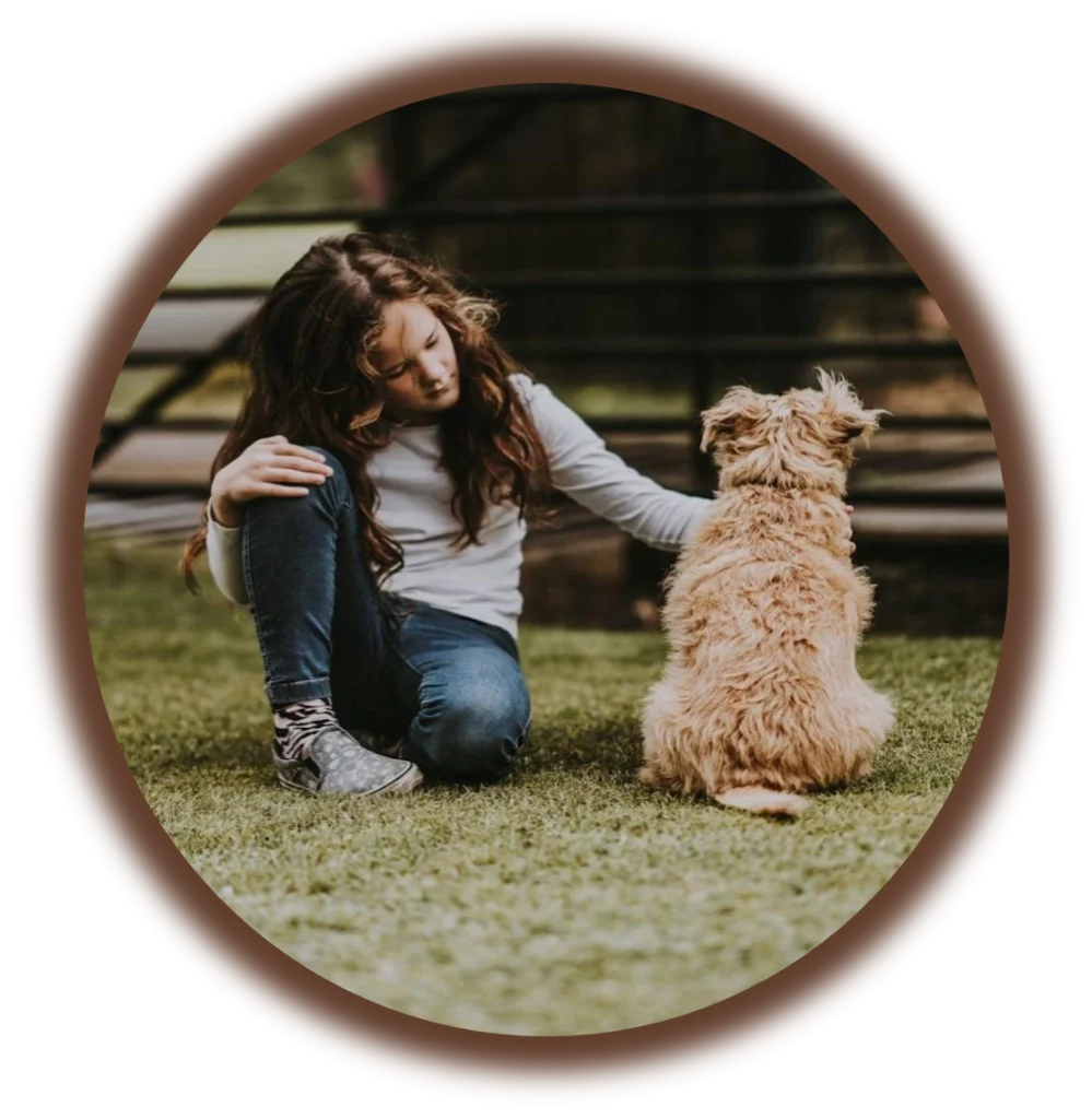 Prévention morsure auprès d'enfants | Académie Canine des Volcans