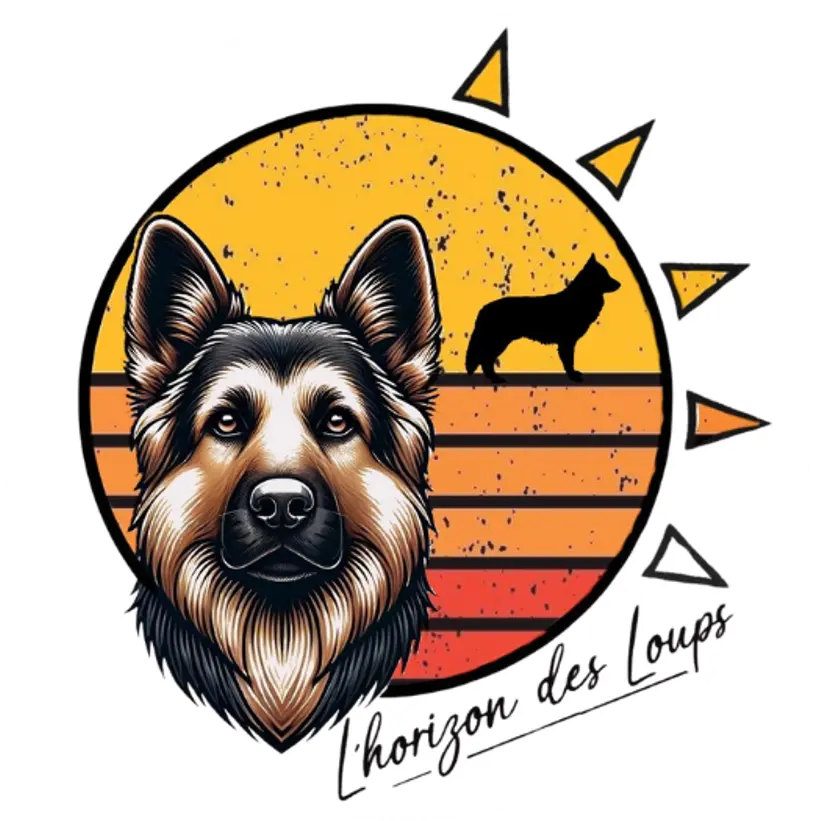 logo L'horizon des loup chien de race AS avec un soleil de 3 couleur