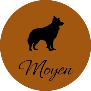 Moyen